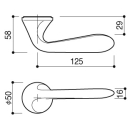 T1C_size